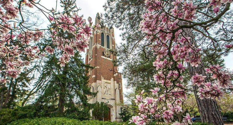 Read more about the article Nine Students Receive 4.0 GPA Board of Trustee Awards