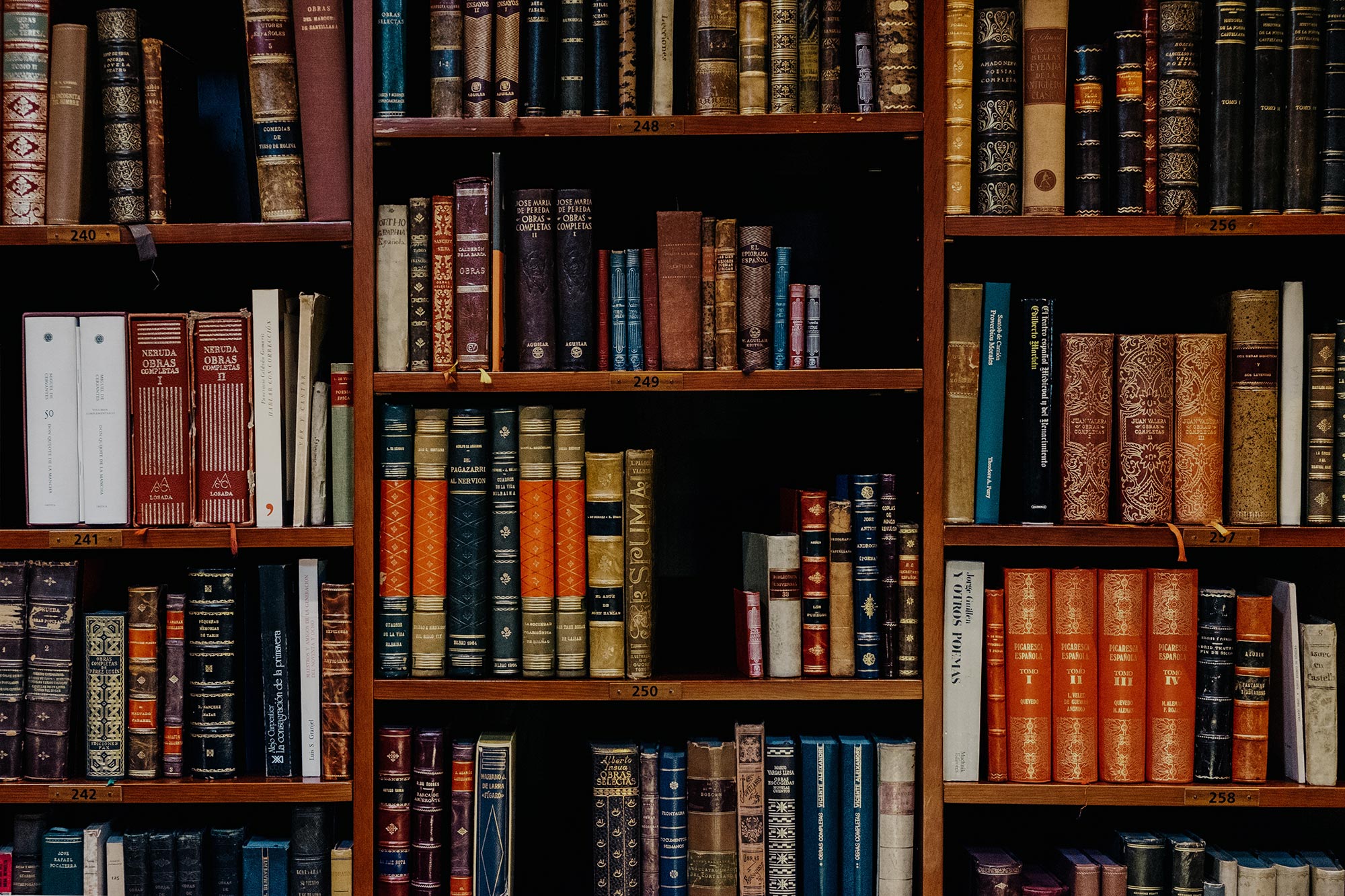 Read more about the article INTERNSHIP OPPORTUNITY for MA Students: The Center for Applied Linguistics
