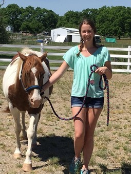 Read more about the article PWer Kelsie Donaldson Interns with MSU Tollgate Farm
