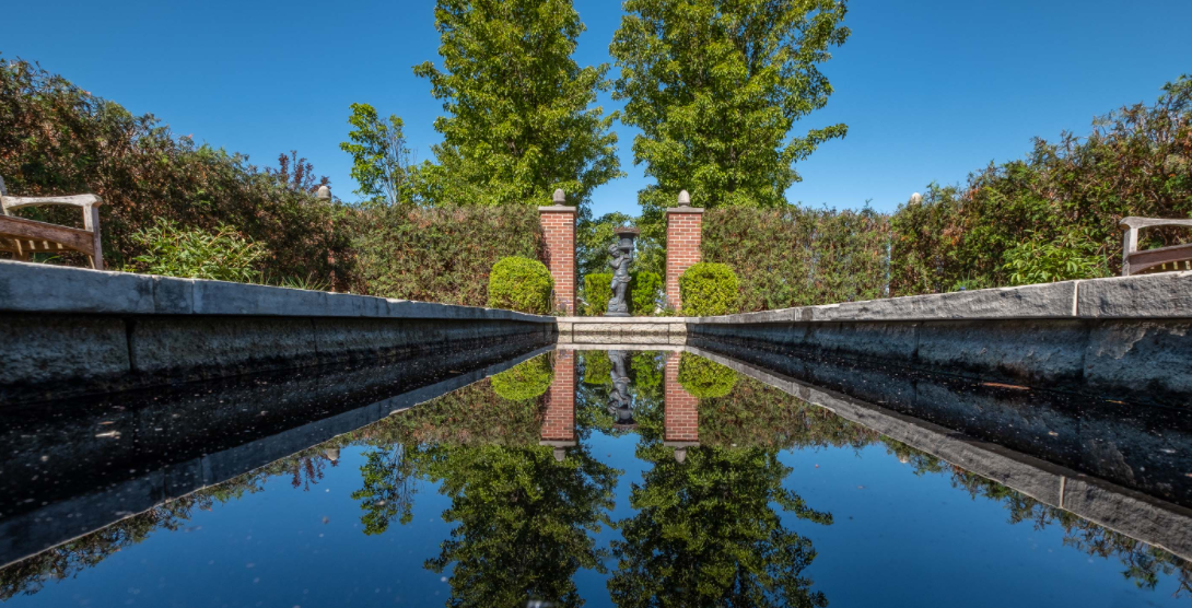 Read more about the article Seen on Campus – MSU Today Version