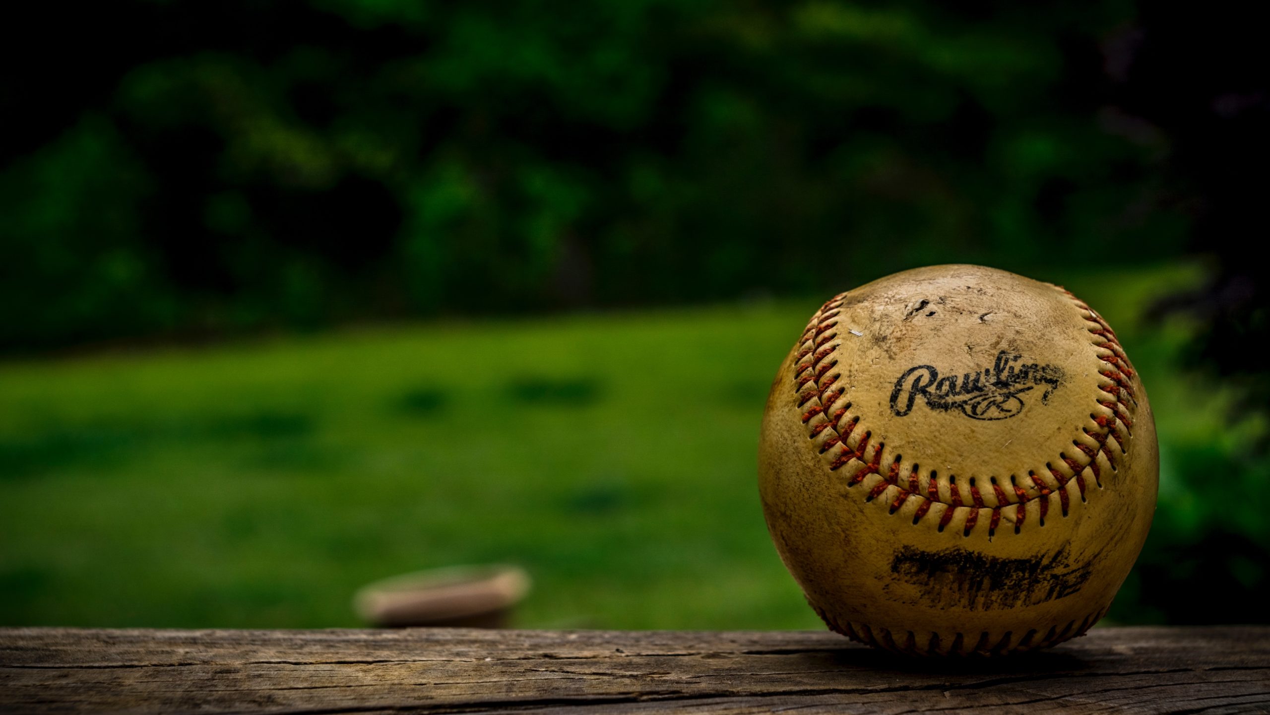 Read more about the article ELC Director – 1st Pitch