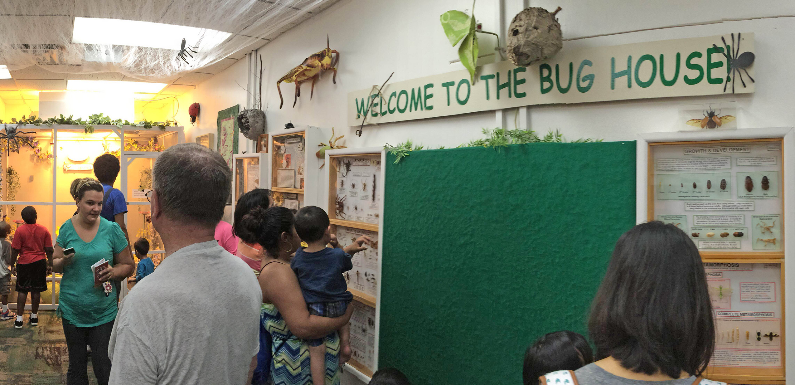 room with families in it - Welcome to the Bug House is written in green on the wall
