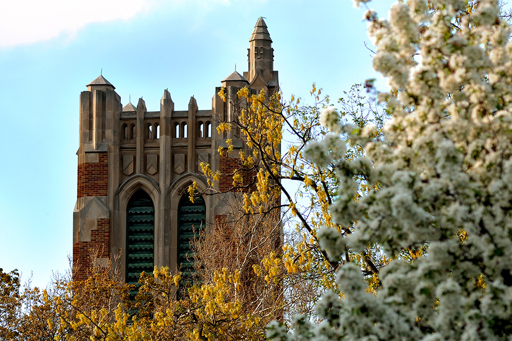 shot of the beaumont tower's top half, there are autumn leaves in front of it