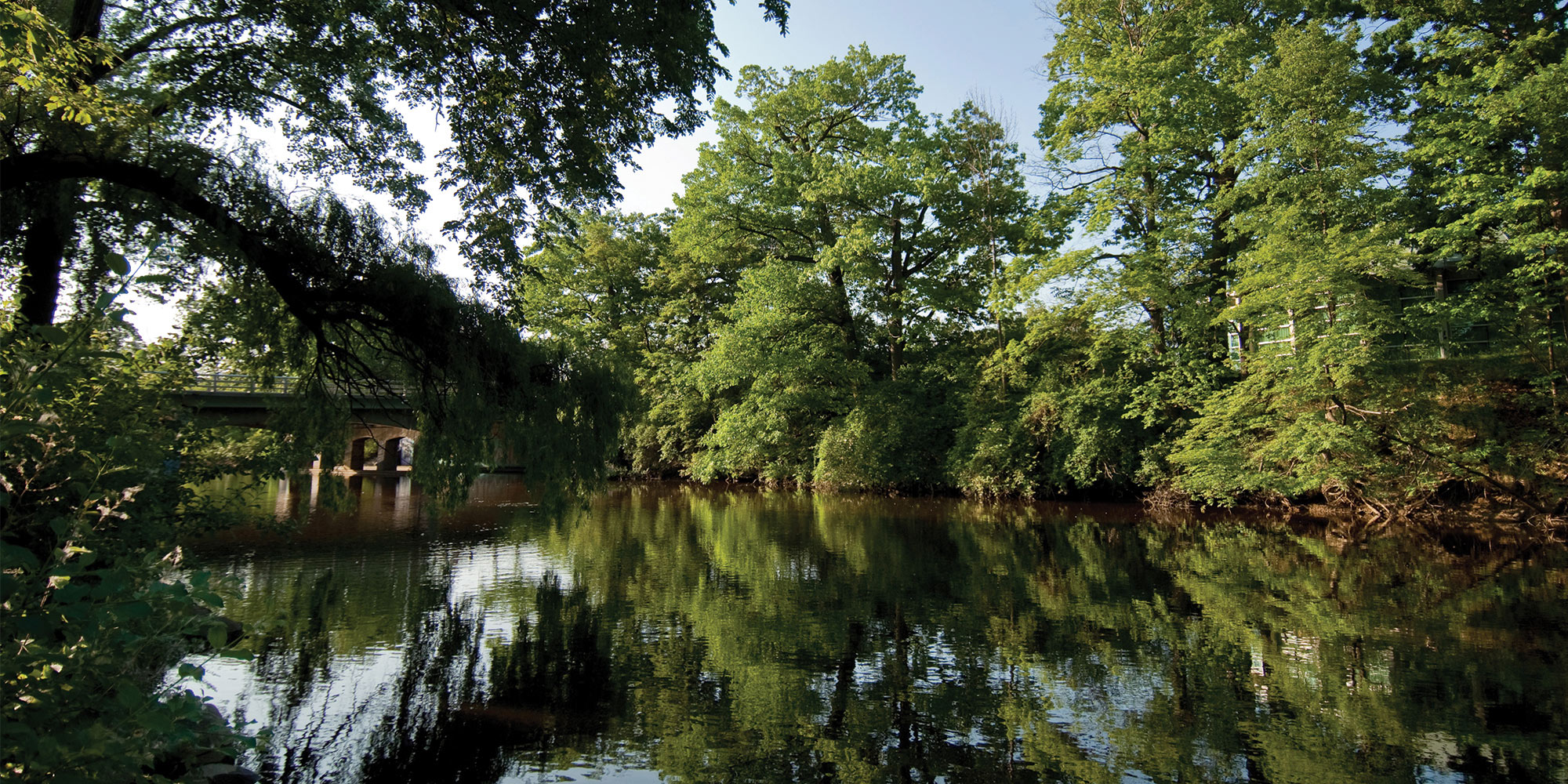 msu red cedar river