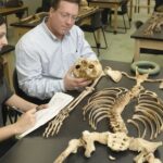MSU Scientists Identify Brucellosis in Ancient Skeletal Remains