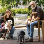 MSU helps advance efforts to reduce ligament injury in dog knee replacements