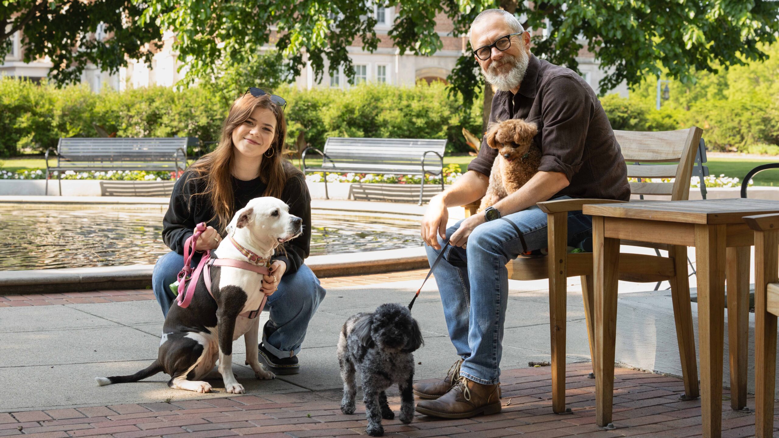 MSU helps advance efforts to reduce ligament injury in dog knee replacements
